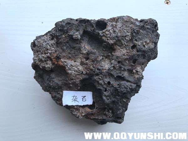 新建文件夹IMG_1264_副本.jpg