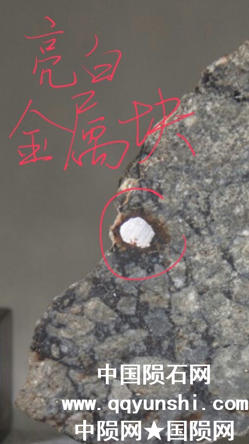 10D57ABA-C3EC-4134-B0A8-69F5B4B0ECA2.jpeg
