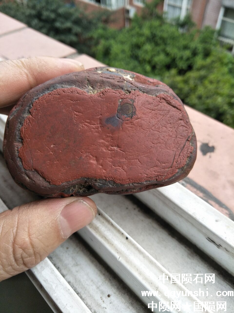 QQ图片20180416153721.jpg
