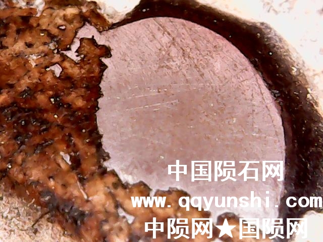 图片 002.jpg