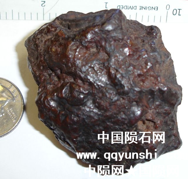 m199_l.jpg