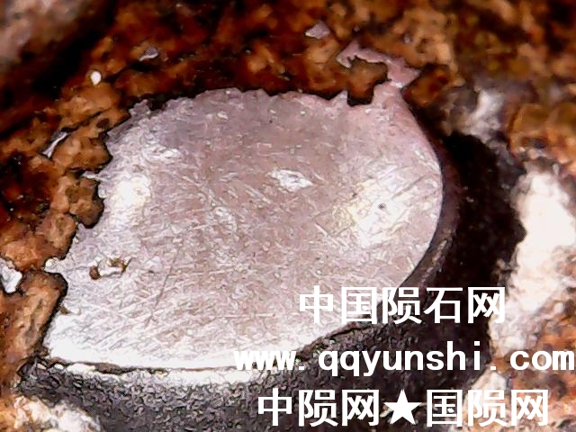 图片 003.jpg