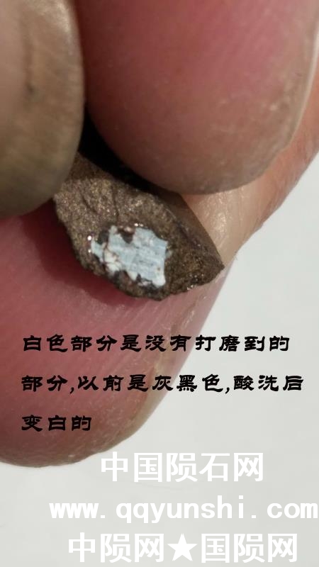 mmexport1524808089517.jpg