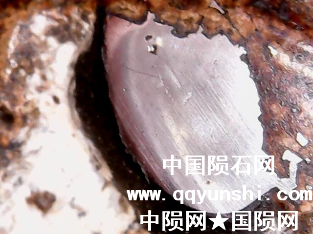 图片 006.jpg