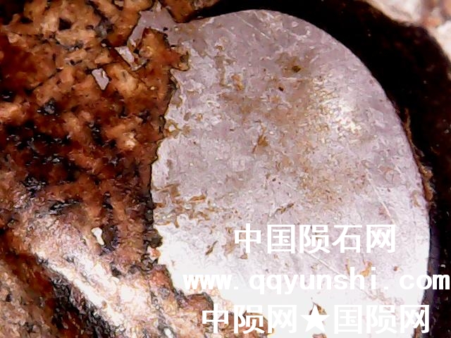 图片 008.jpg