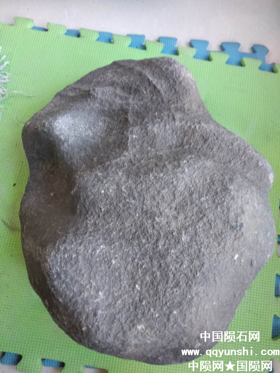 961342803.jpg