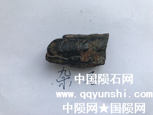 IMG_2298_副本.jpg