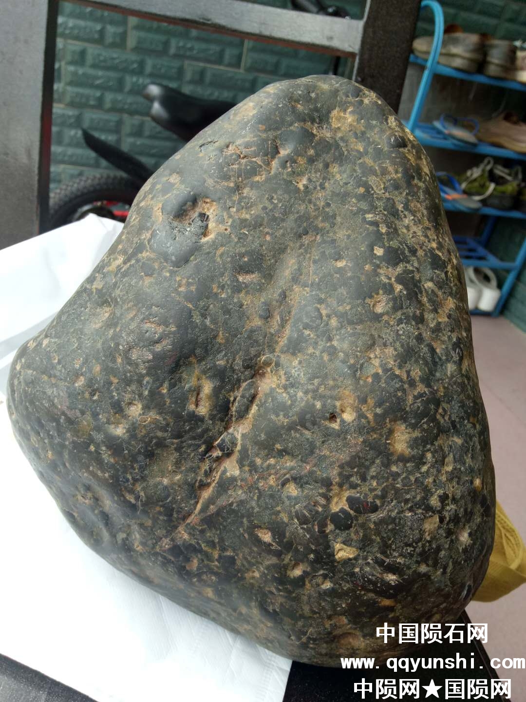 微信图片_20180525092802.jpg