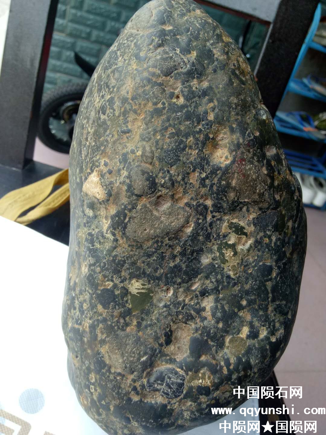 微信图片_20180525092811.jpg