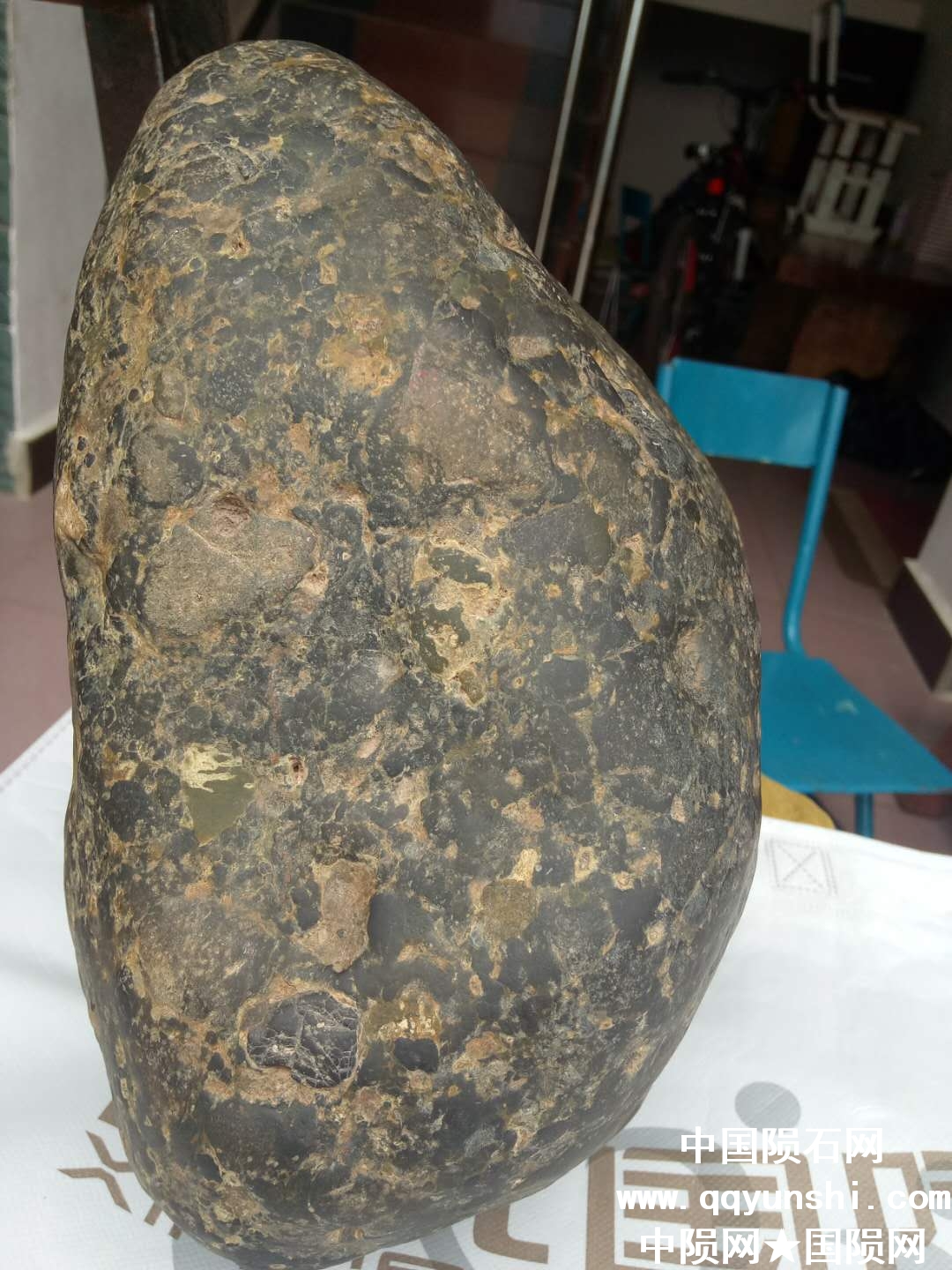 微信图片_20180525092839.jpg