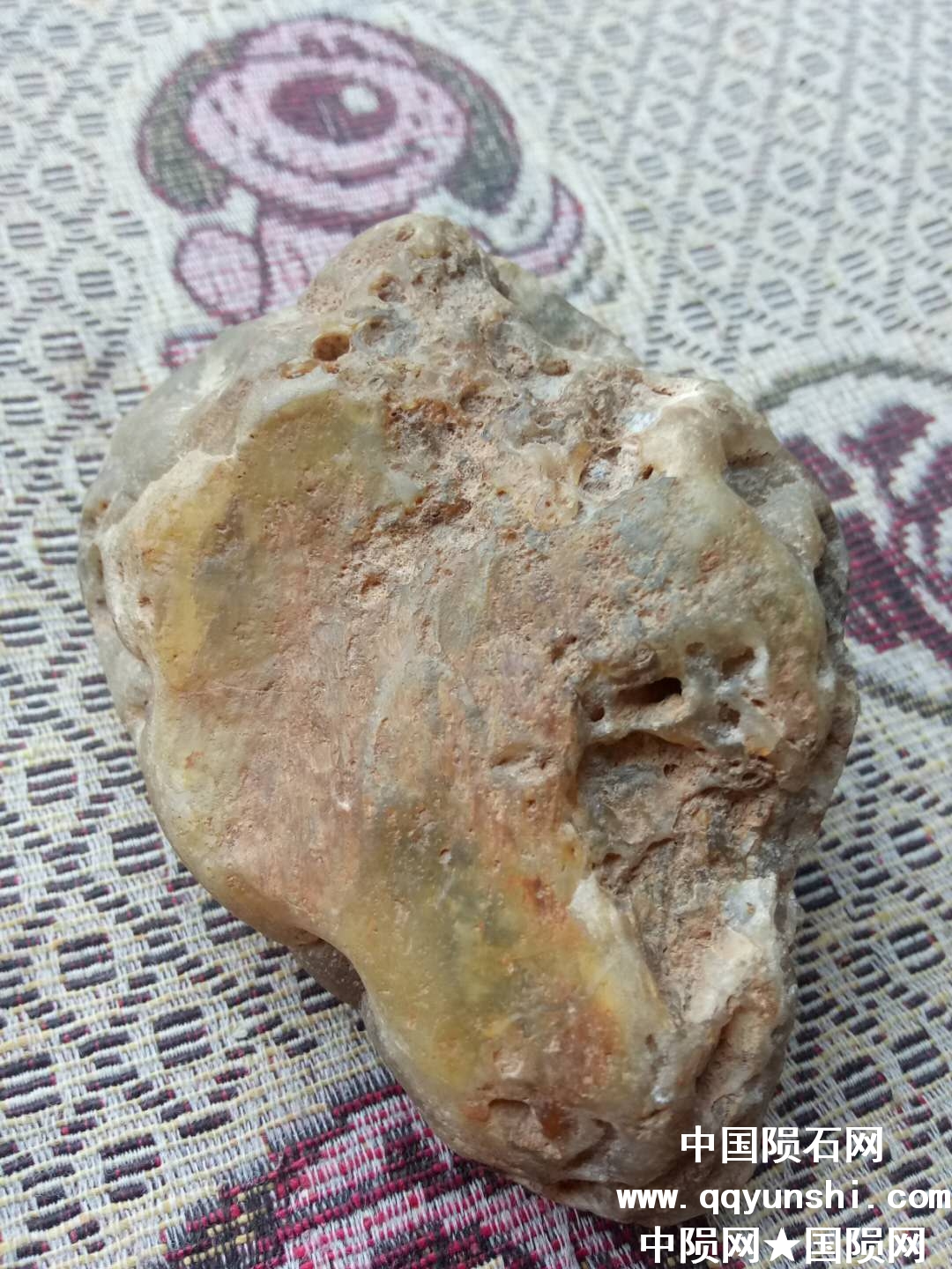 微信图片_20180524191803.jpg
