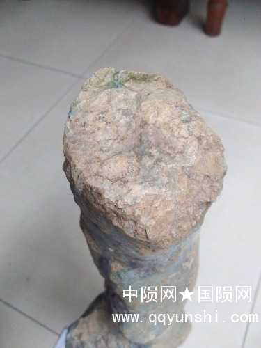 IMG20180619122301.jpg
