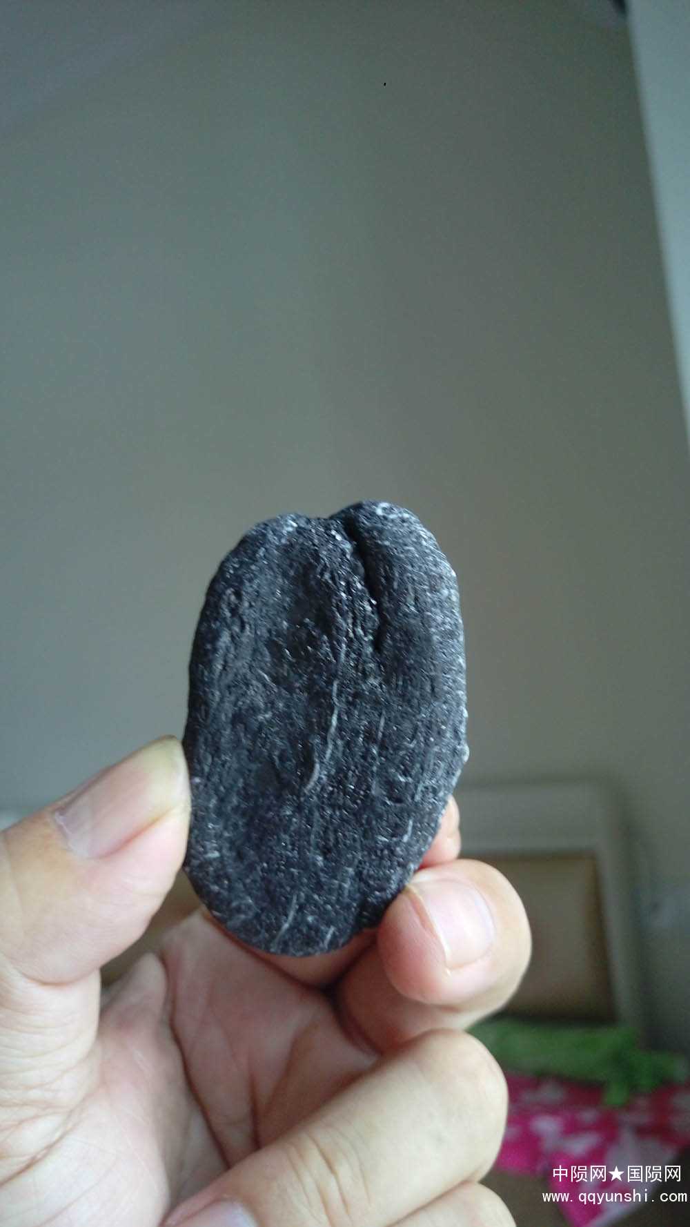 IMAG1275.jpg