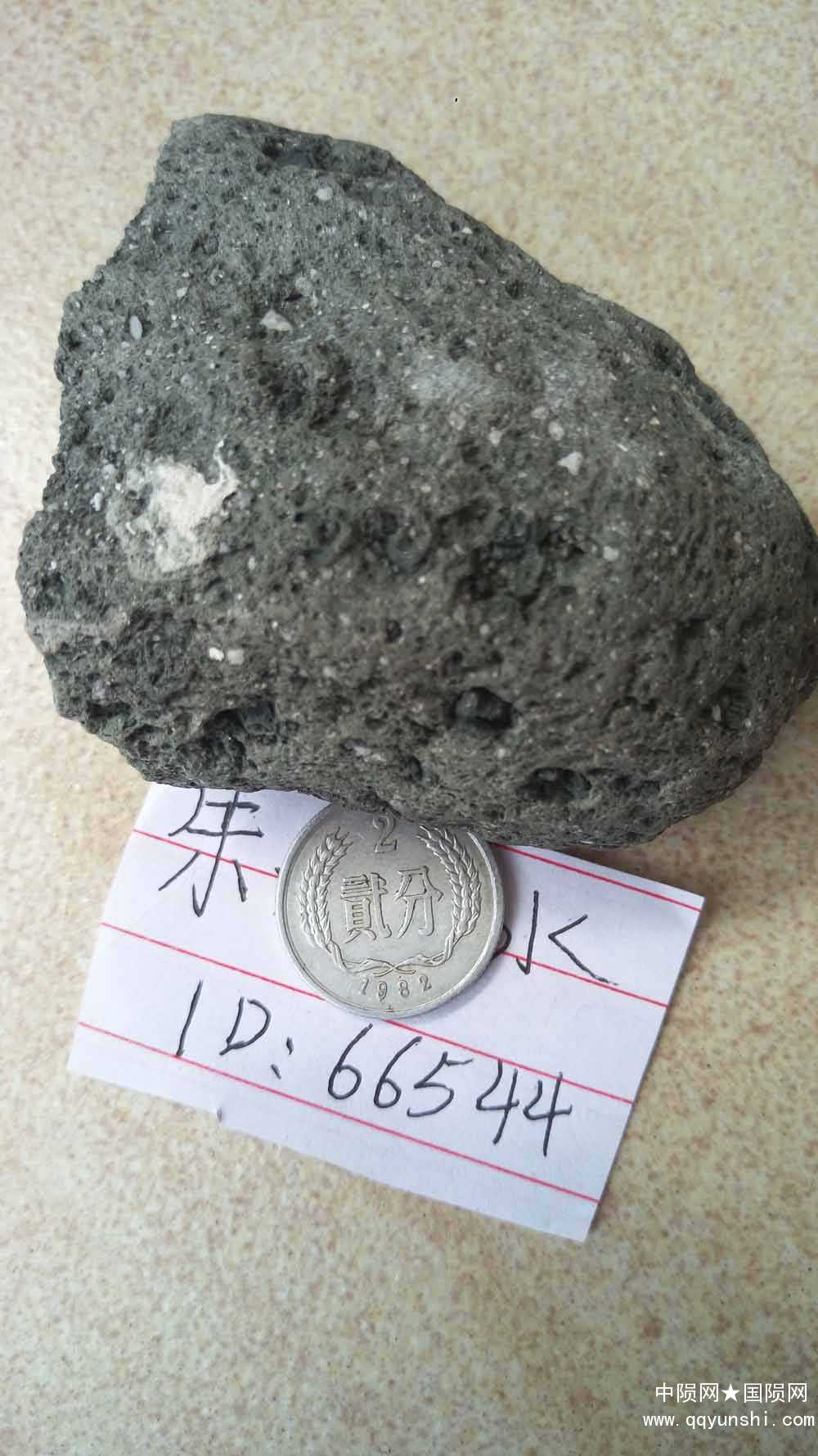 IMAG1387.jpg