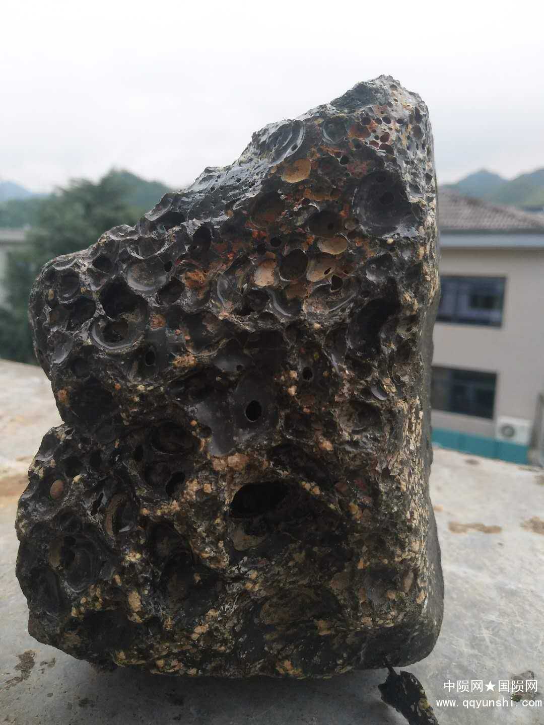 微信图片_20180710073428.jpg