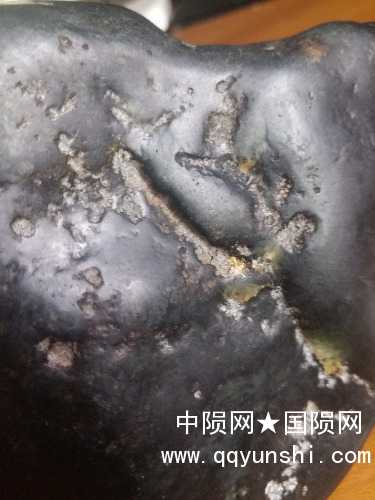 20180729_151456.jpg