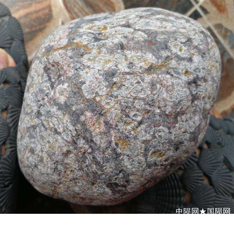 yunshi20054 拷贝.jpg