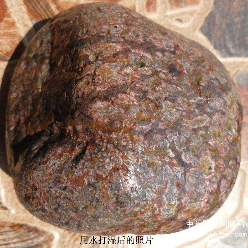 yunshi20058 拷贝.jpg