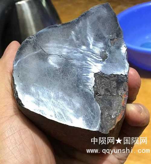 无标题.jpg