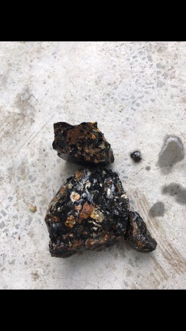 陕西张惜增