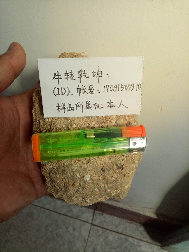 IMG20181016113130.jpg