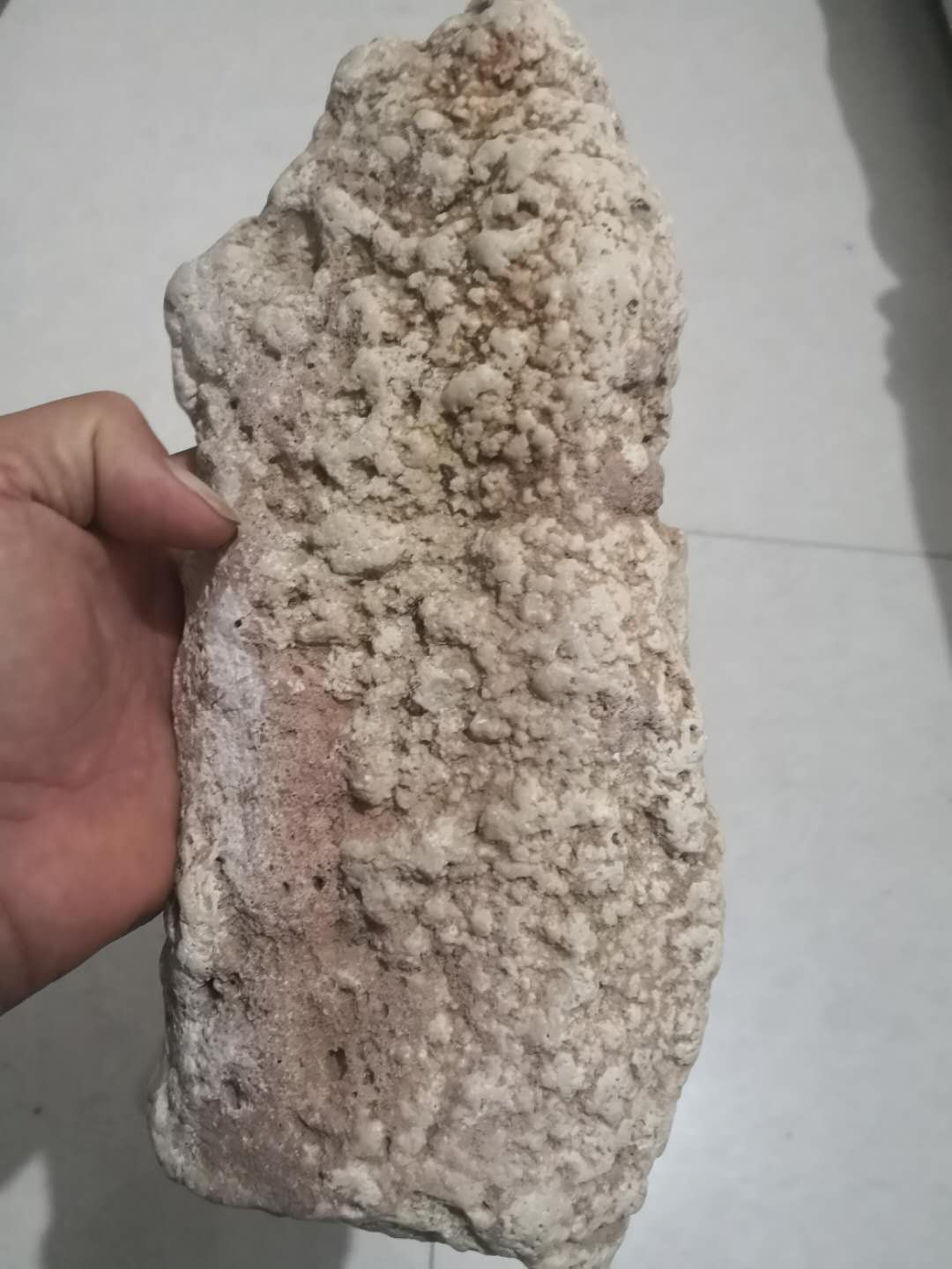 1、榆林城区附近河畔发现。