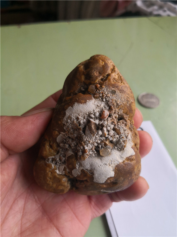 沾附硫化物以及碎屑特征。
