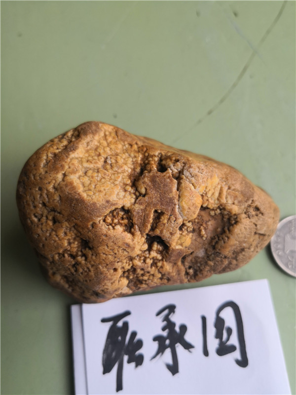 有溶蚀坑和角砾感觉。