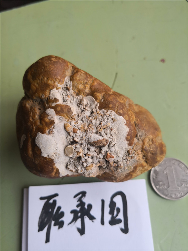 沾附硫化物和碎屑。