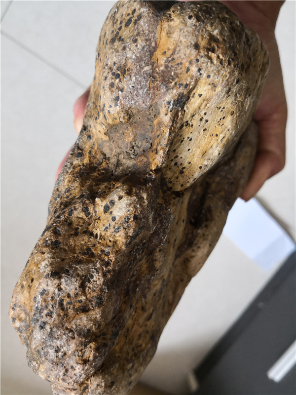 陨唇特征。溶蚀坑特征