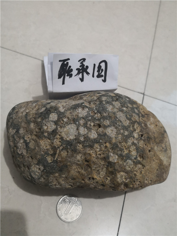 似乎包含辉石，橄榄石，斜长石特征。