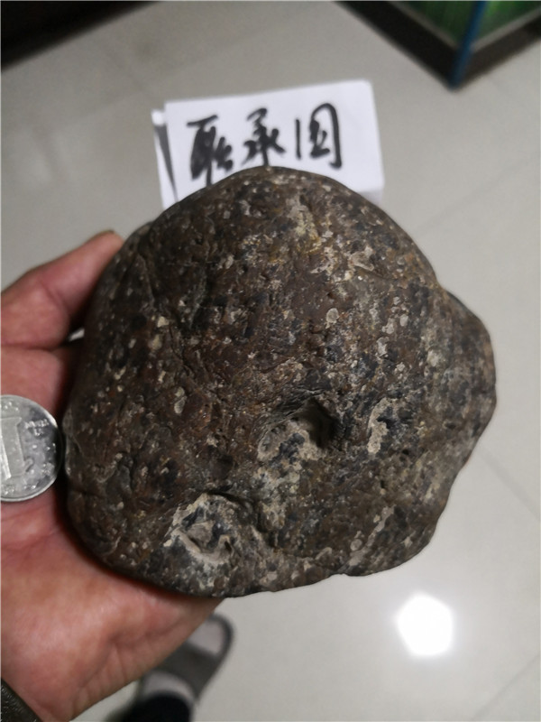 馒头状外形