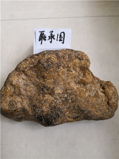 正面特征