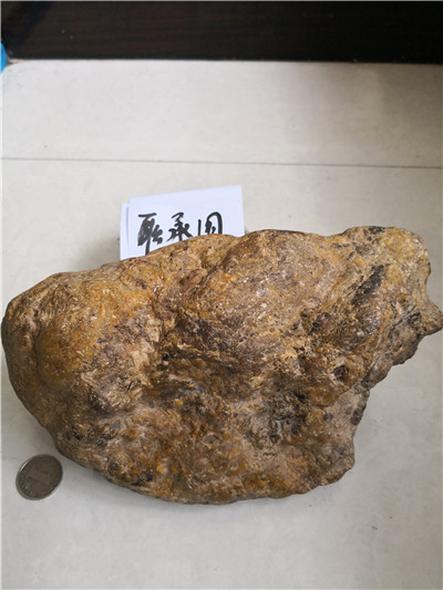 颠倒看特征