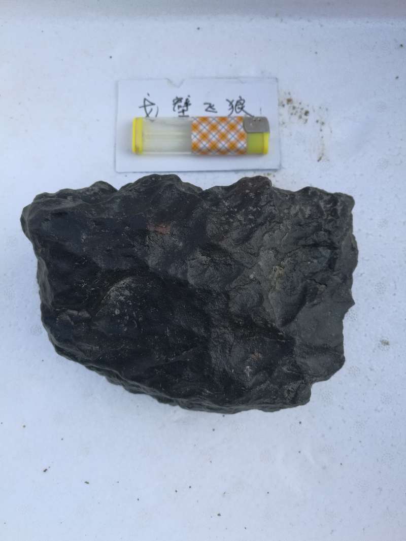 背面