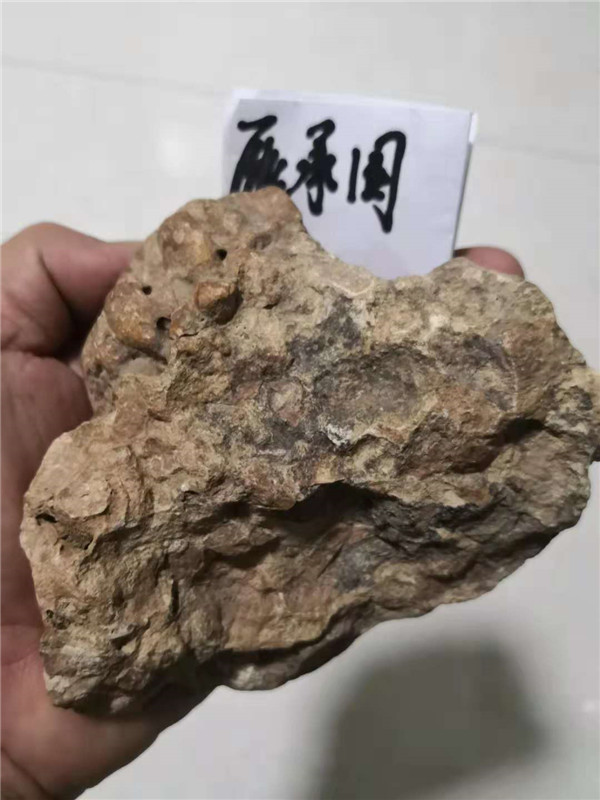 390254466622473019_副本.jpg