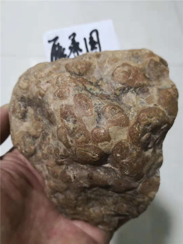 718684226159031388_副本.jpg