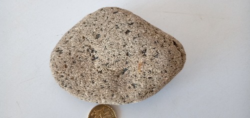 IMG20181122125024.jpg