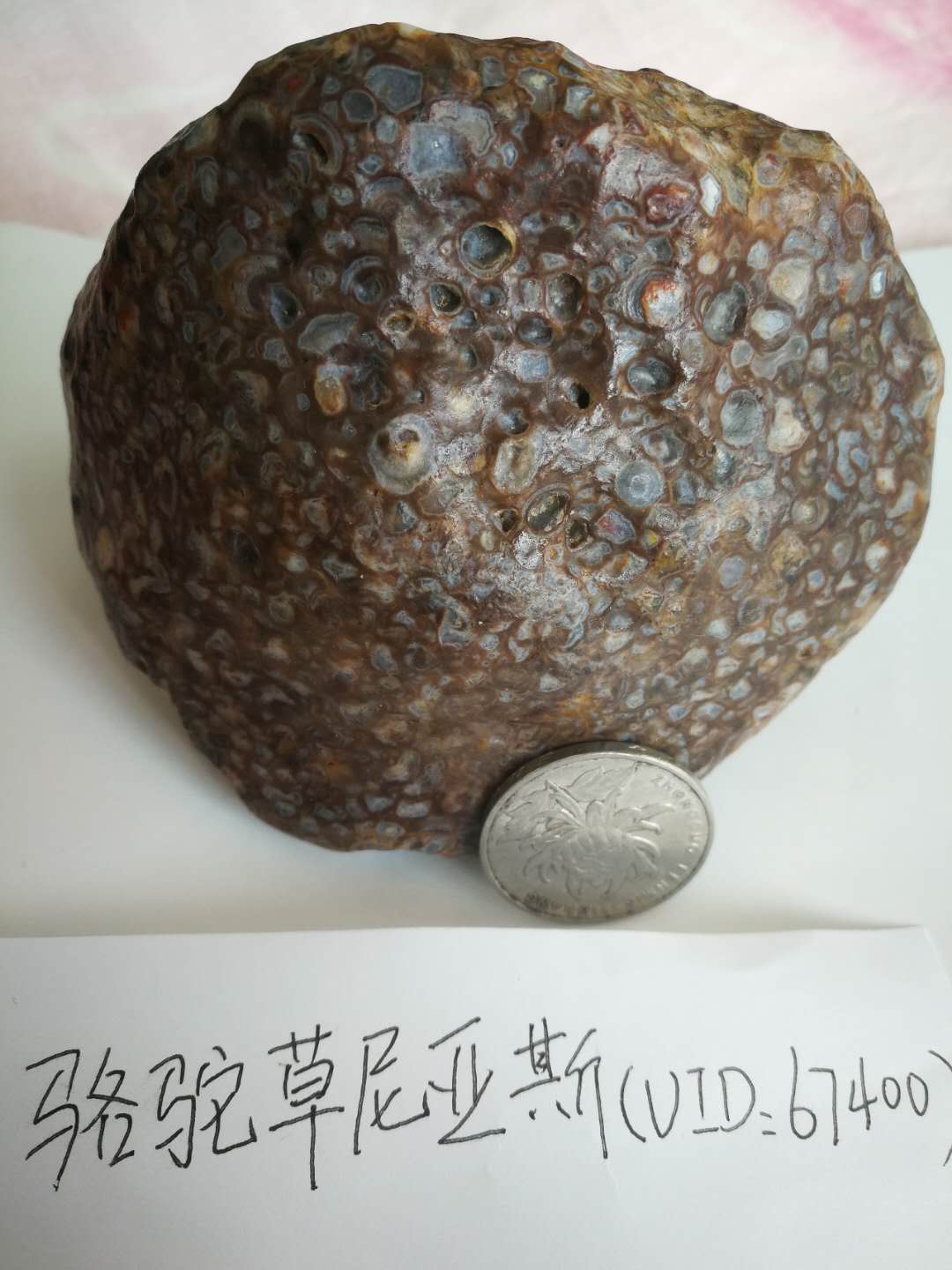 微信图片_20181208133128.jpg