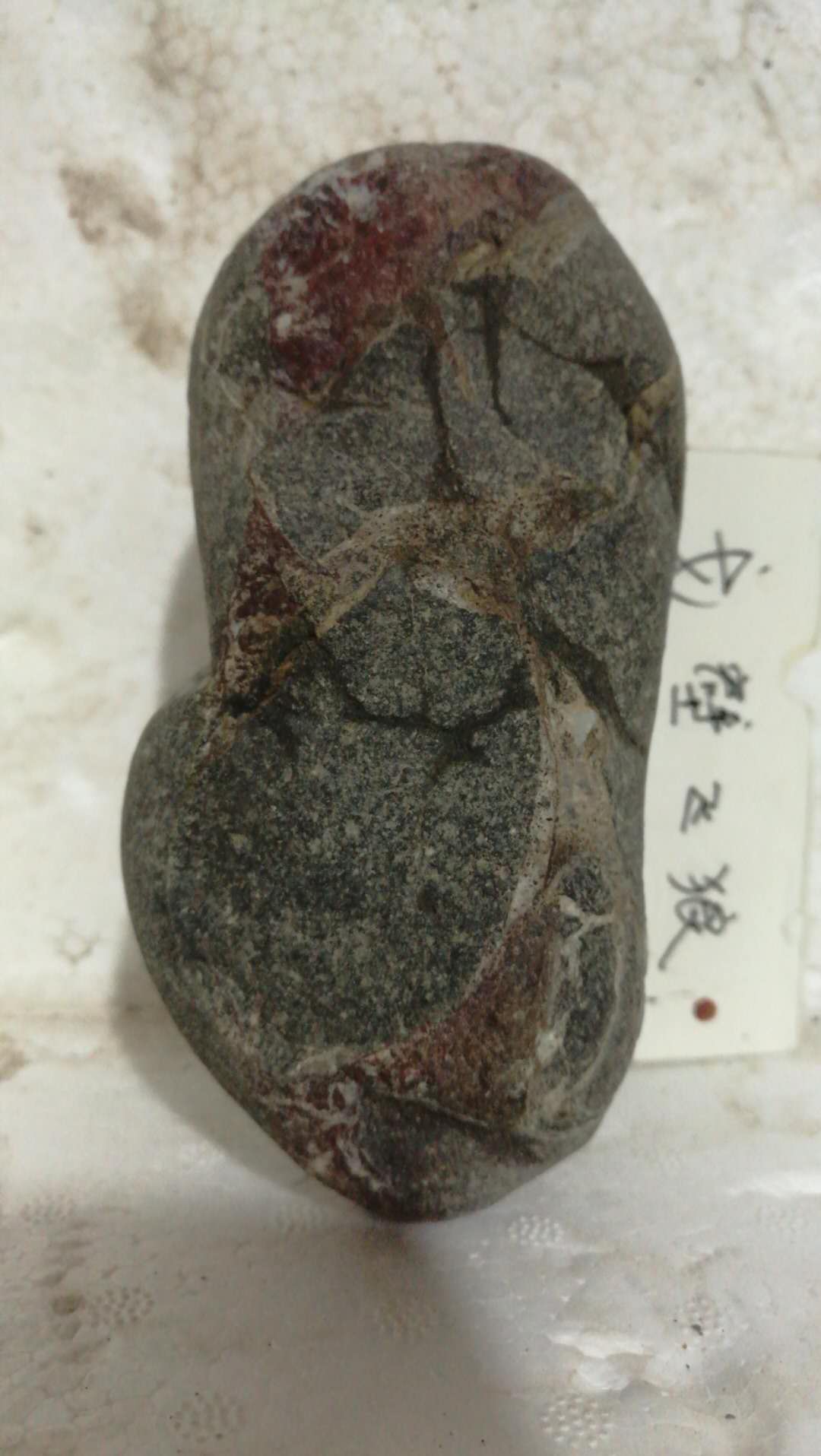 中强磁皮壳