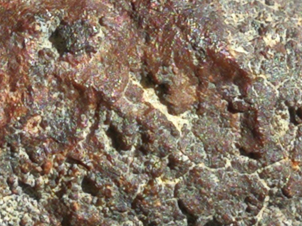 847EDA7AF2754FDD12149BC4AE3819F7.jpg