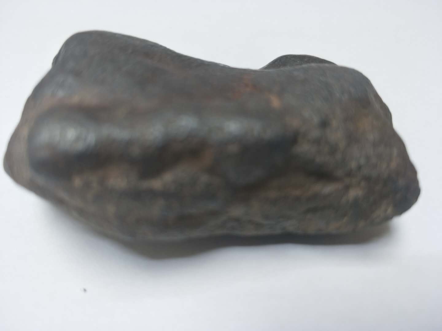 1686464999.jpg204.jpg