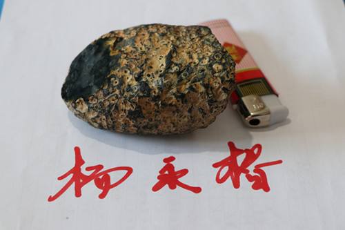 花1_副本.jpg