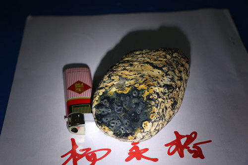 花10_副本.jpg