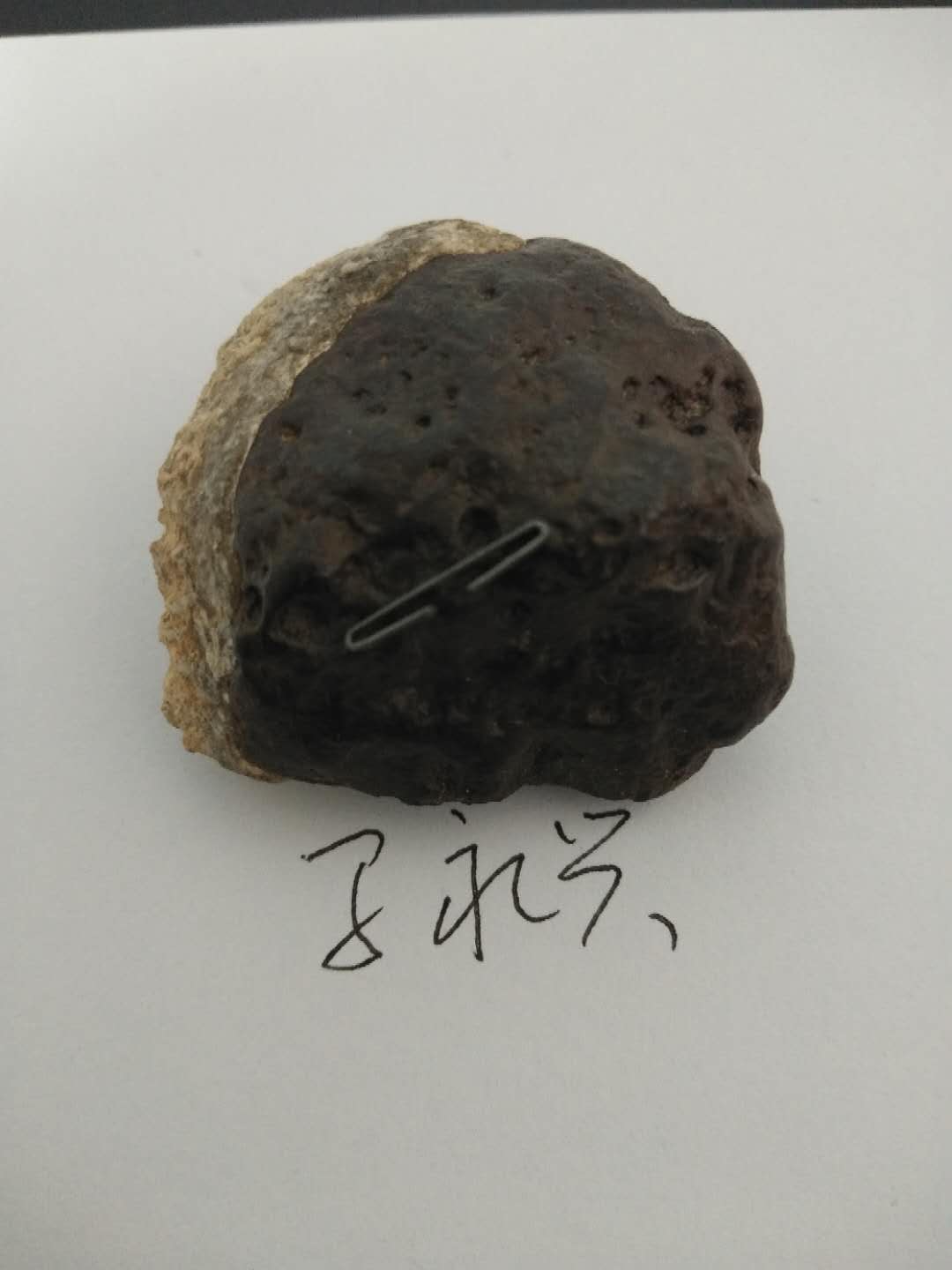 微信图片_20190118170419.jpg