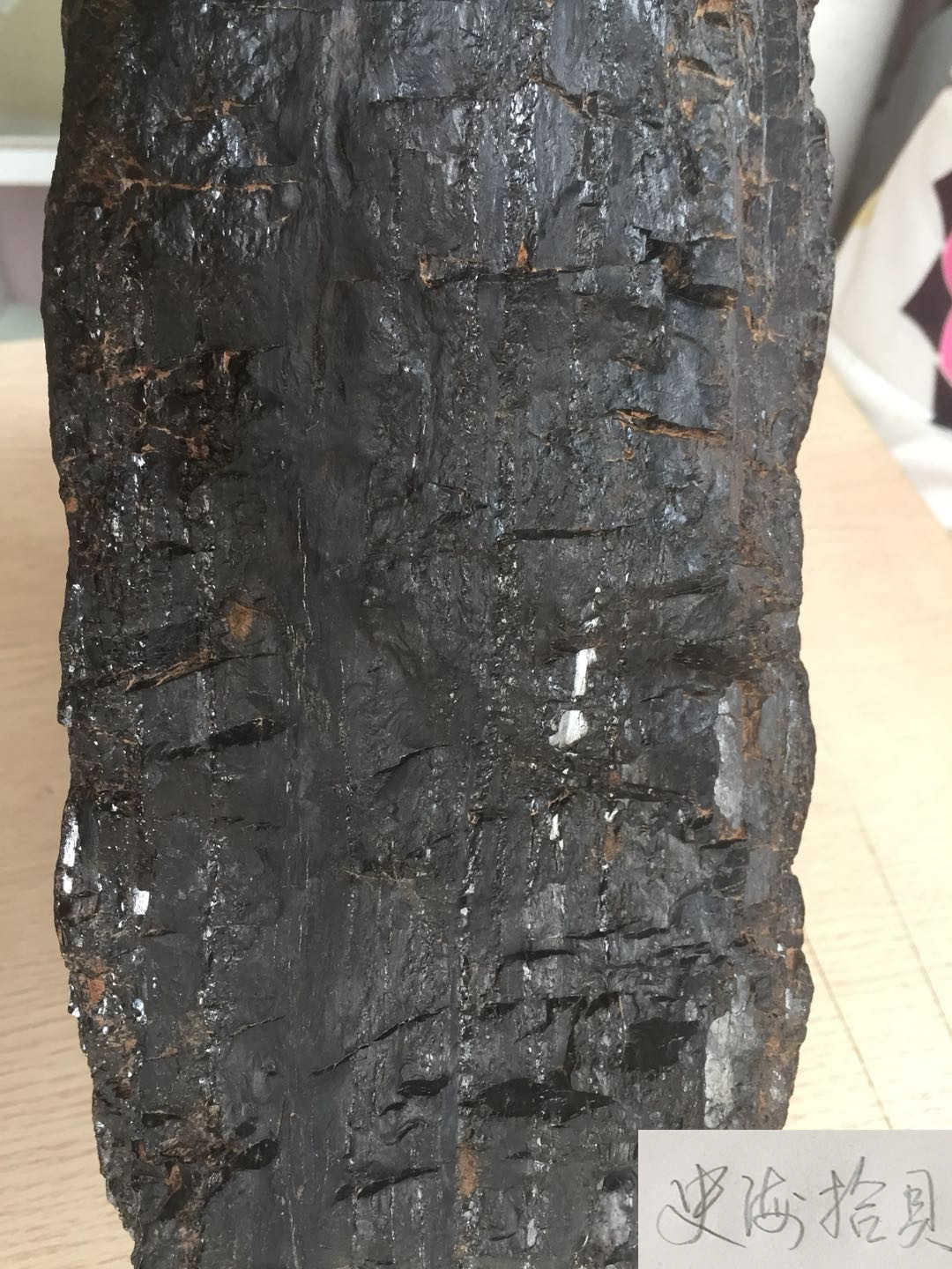 微信图片_20190209161036_副本.jpg