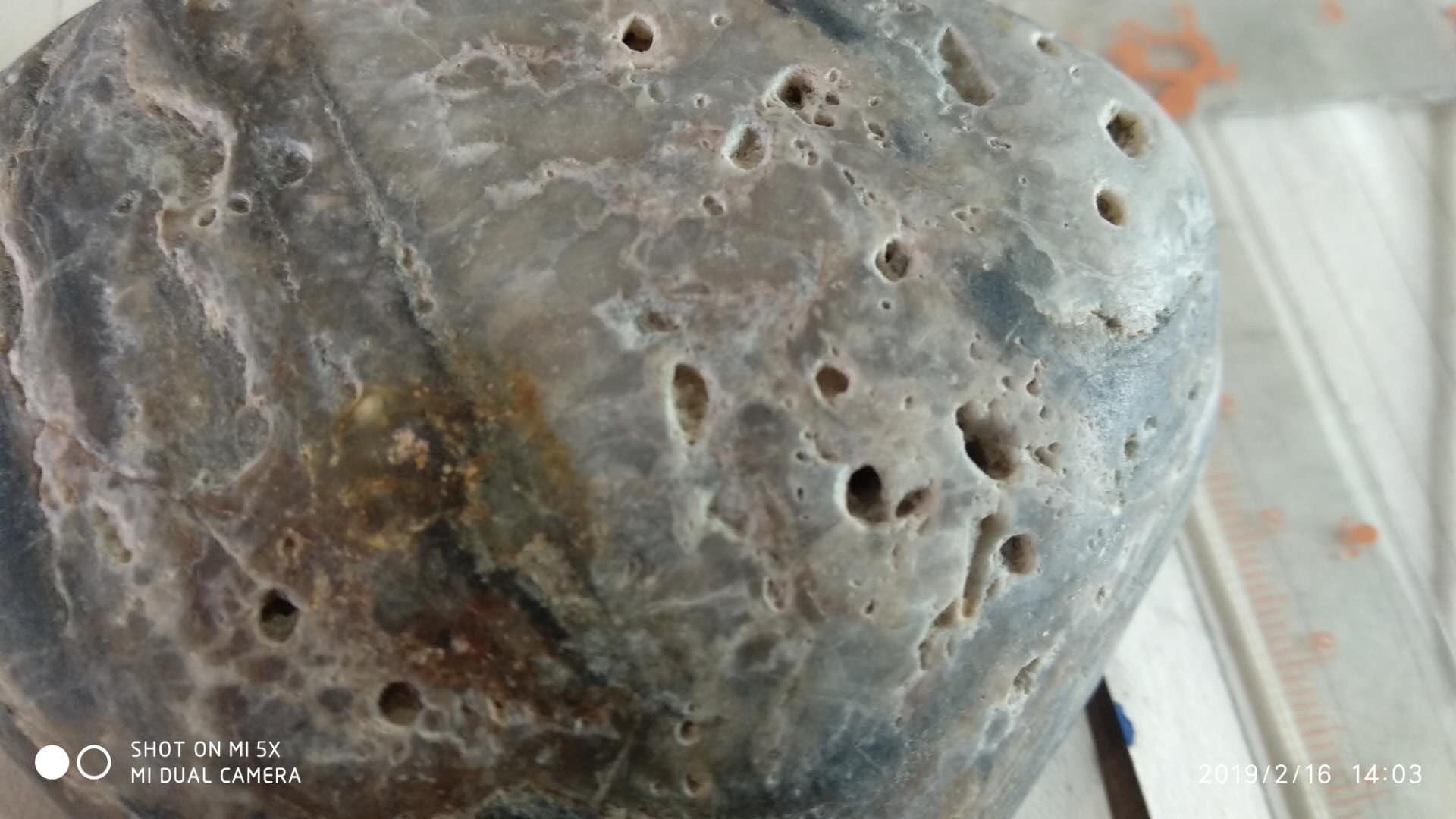 微信图片_20190222124702.jpg