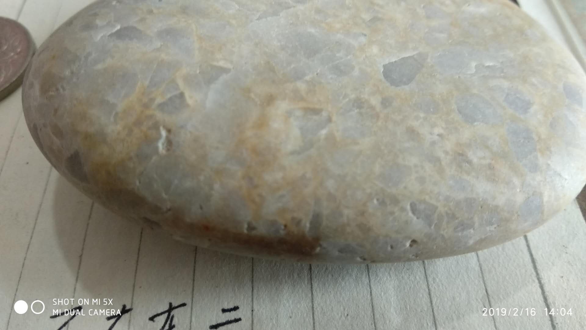 微信图片_20190222125202.jpg