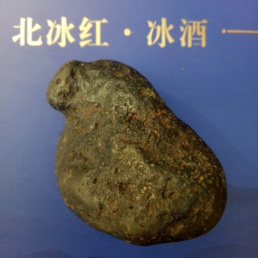 181.jpg