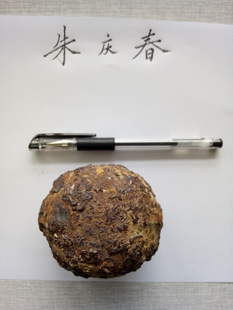 微信图片_20190415155251.jpg